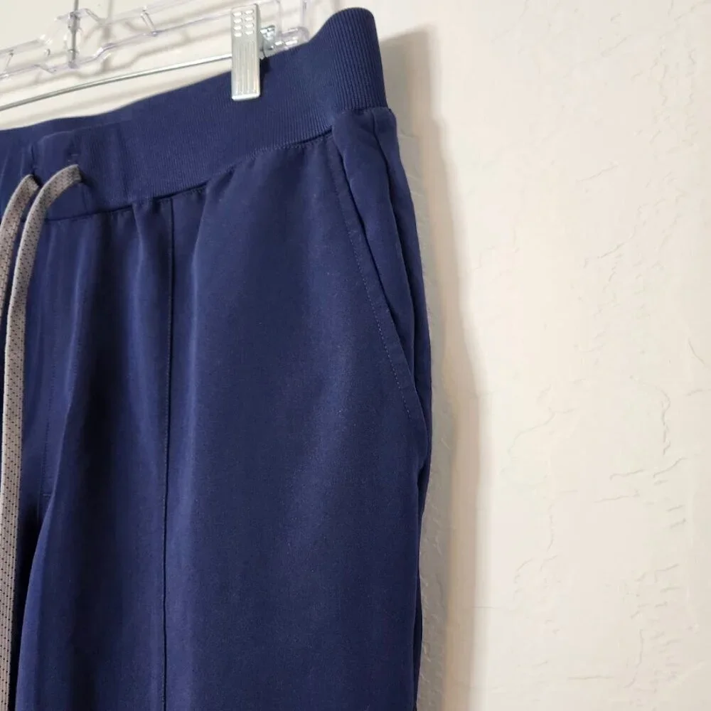 Fabletics Men's Pants 
